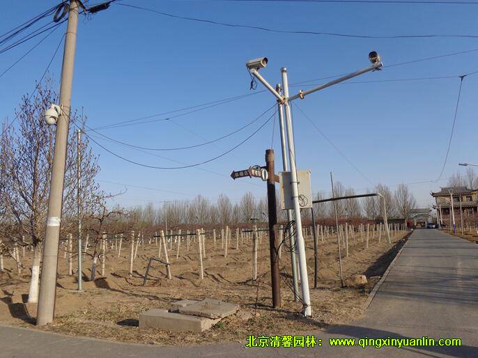 御香园改造提升工程铺装实况案例