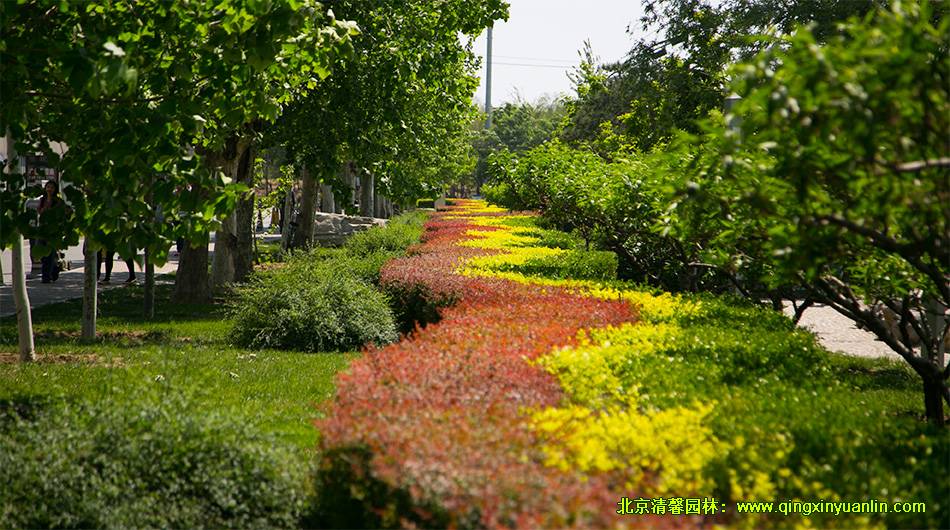 北京枫树家园 园林景观绿化