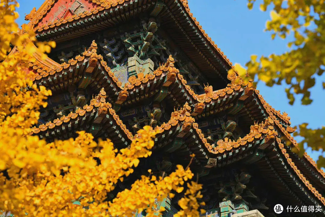 在北京过个秋天，立刻退掉了去腾冲的机票！