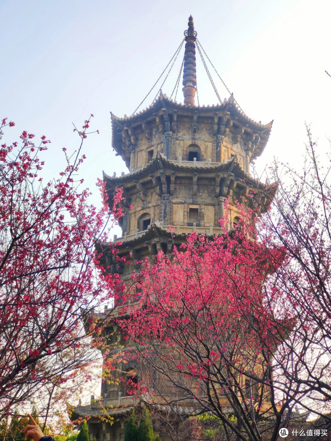 泉州有哪些适合春游赏花遛娃的好去处？