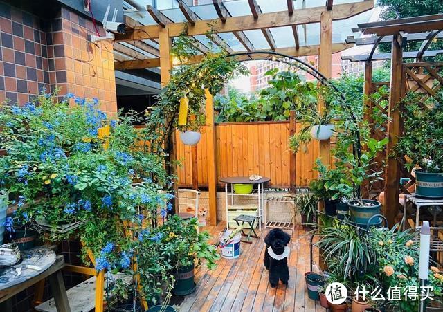 花30000元将庭院变“网红打卡地”，房子增值30万，都说太值了
