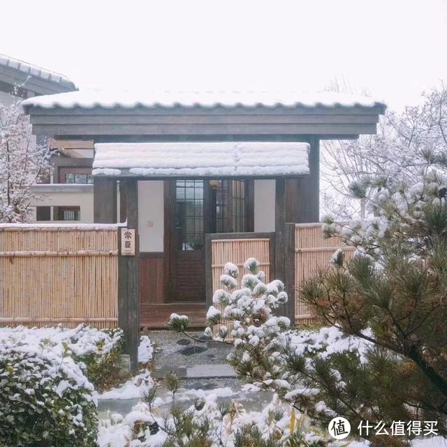 不想冬天小院里光秃秃的难看，就种上这6种花卉，耐寒还能开花！